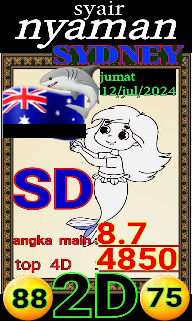 SYAIR SDY VIP